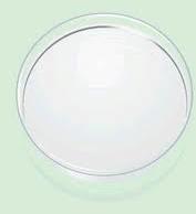 Lidocaine, Packaging Type : white