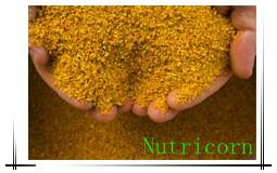 Corn Gluten Meal
