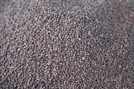 White Pepper, Packaging Size : 100gm, 200gm, 25gm