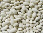 White kidney beans, Cultivation Type : Organic