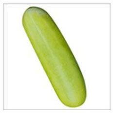 Cucumber