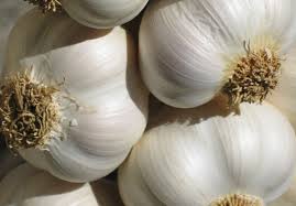 Fresh garlic, Cultivation Type : Organic