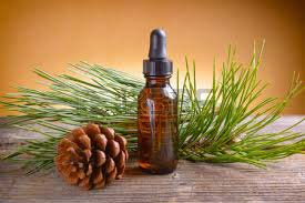 Pine Essential Oil