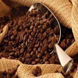 Coffee beans, Shelf Life : 1 Year