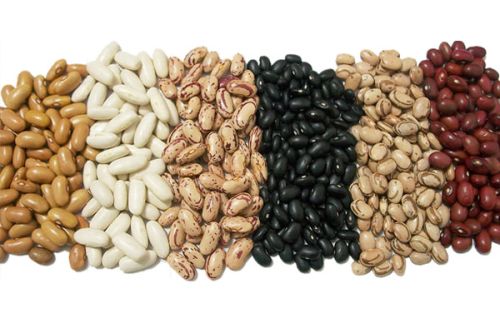 Common Red Beans, Packaging Type : Light Brown for Cooking