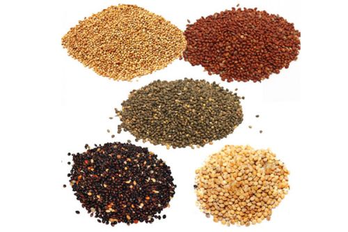 Millet, Packaging Size : 5-25kg
