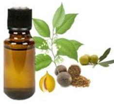 Nutmeg Oil