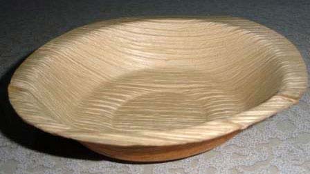 Areca leaf plate