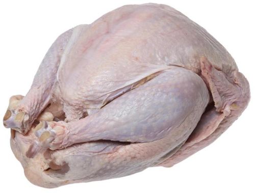 Frozen Turkey Meat