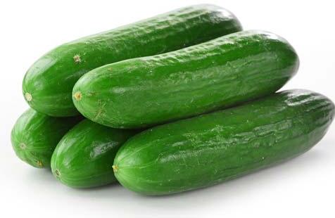 Fresh Cucumber,fresh Cucumber