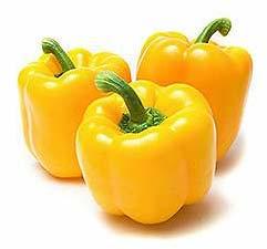 Fresh Yellow Capsicum