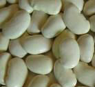 White kidney beans, Storage : Cool, Dry Place