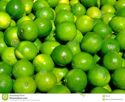 Vietnam Fresh Lime