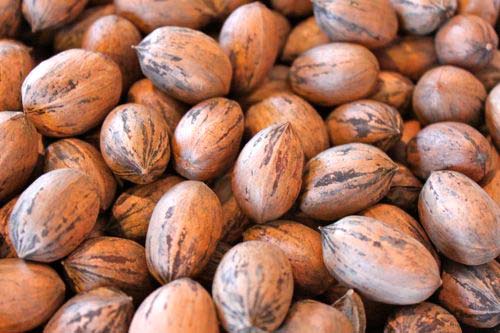 Shelled Pecans