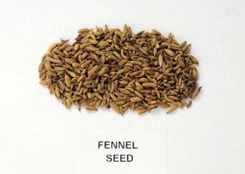 Fennel seeds, Storage : Cool & Dry Place