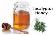 Eucalyptus honey
