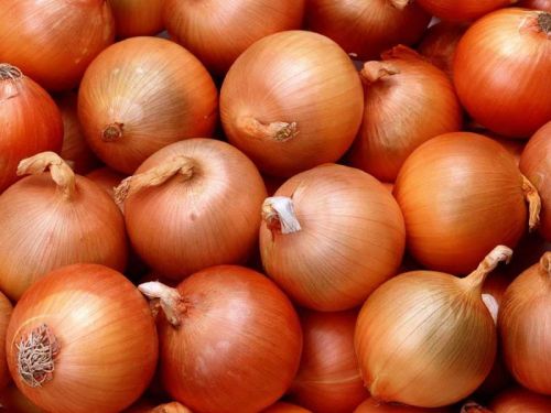 Fresh onion