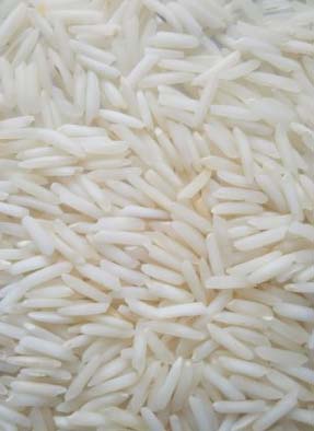 Hard 1509 Basmati Rice (Raw), Certification : ISO, Apeda, PHD Chamber Of Commerce, Delhi Chamber Of Commerce