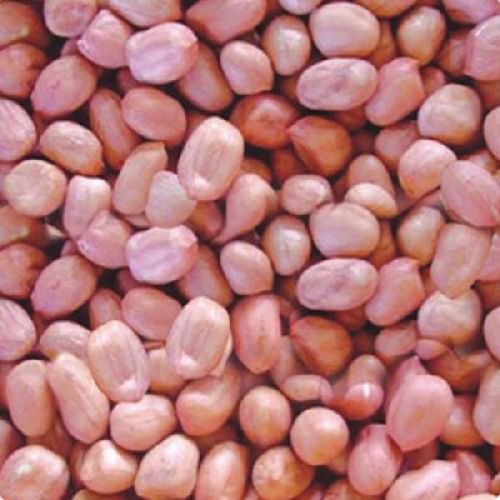 Peanut Kernel Java - 80/90 Count, Style : Dried