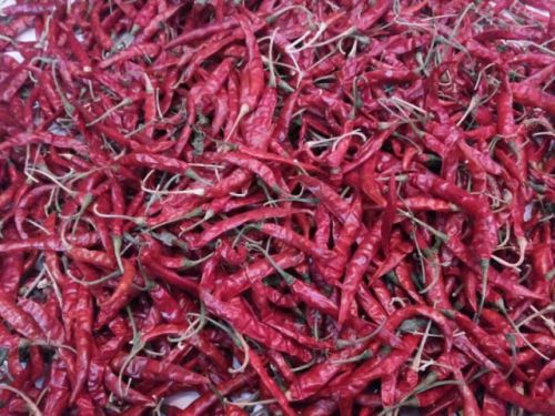 Fringe Spice Red Chilli (Byadgi)