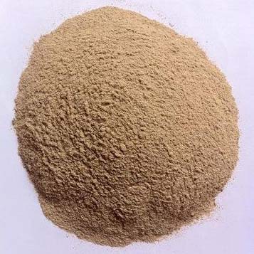 Papo Rice Protein Powder