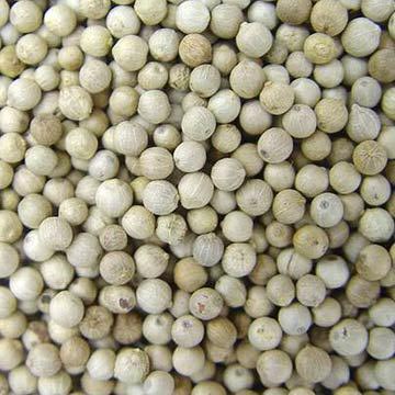 White Pepper Seeds