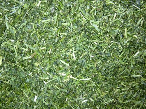 Grass animal feed, Packaging Type : Bag Or Container