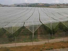 Rectangular Polyethylene Anti Hail Net, For Insect Protection, Technics : Machine Made