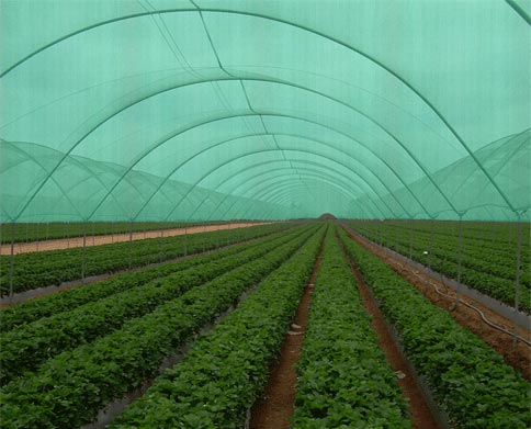 HIPPO Agro Shade Net