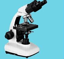 Biological Microscope