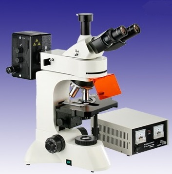 Fluorescence Microscope