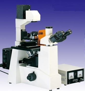 Inverted Fluorescence Microscope