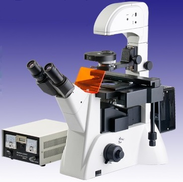 Inverted Fluorescence Microscope