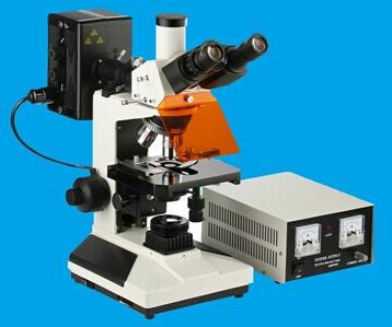 Reflected Fluorescence Microscope