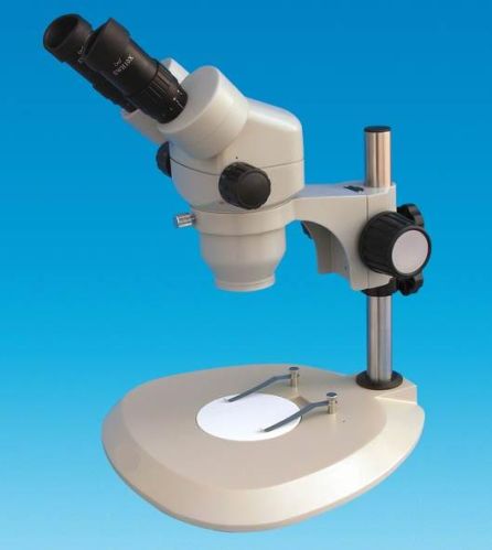 Zoom Stereo Microscopes
