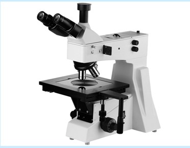 Upright Metallurgical Microscope