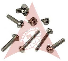 Washer Head Screws