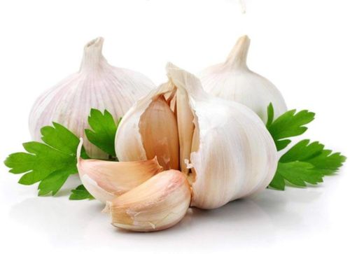 Fresh Garlic