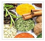 Indian Spices