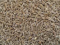 Cumin seeds, Shelf Life :1 Year