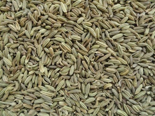 Fennel Seeds