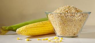 Corn Germ