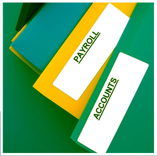 Payroll Processing Service