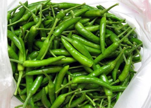 Fresh Green Chilli