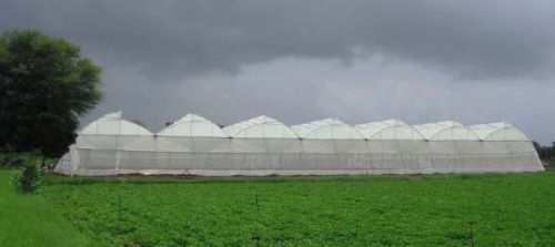 Naturally Ventilated Greenhouse