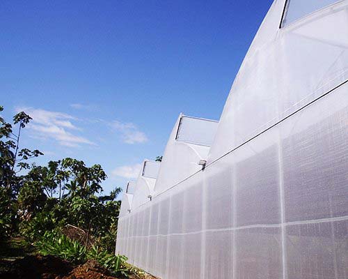 Poly Shade Net House