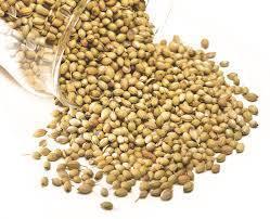Coriander Seed