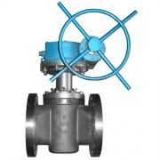 Titanium Plug Valve