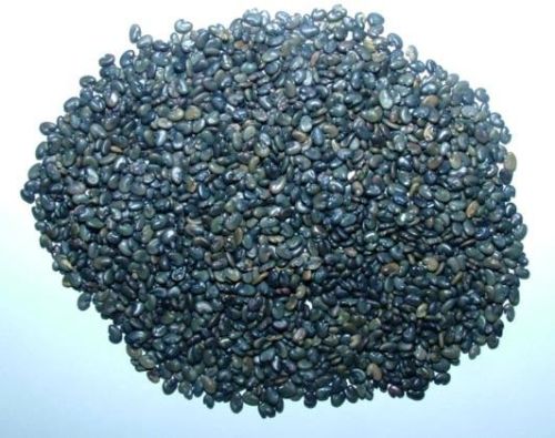 Sunhemp Seed