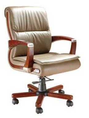 Executive Director Chair